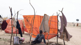 Soudan: efforts pour un cessez-le-feu avant que la guerre ne soit "incontrôlable" 