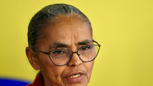 Brasil destaca el combate a la deforestaci&oacute;n en un nuevo plan para reducir las emisiones