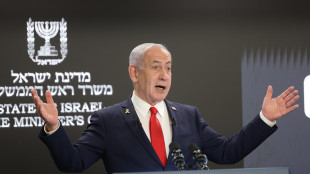 Netanyahu, 'l'obiettivo non è occupare Gaza, è liberarla'