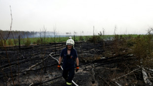 Deutschland steuert auf Rekordjahr bei Waldbr&auml;nden zu