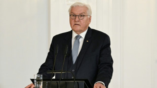 Steinmeier wirbt für finanzielle Entlastung der Kommunen