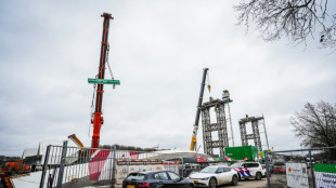 Dos muertos al derrumbarse un puente en construcci&oacute;n en Pa&iacute;ses Bajos