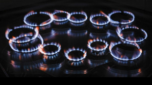 Il gas naturale resiste sopra i 42 euro al Ttf di Amsterdam