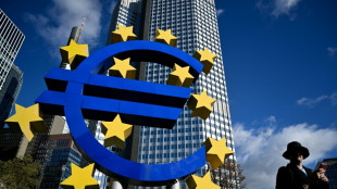 ECB proposes simplifying rules for banks
