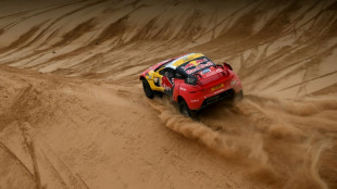 Dakar: seconde victoire d'&eacute;tape pour Loeb, lauriers pour Branch en moto