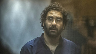 La ONU pide la "liberación inmediata" del militante Alaa Abdel Fattah en Egipto