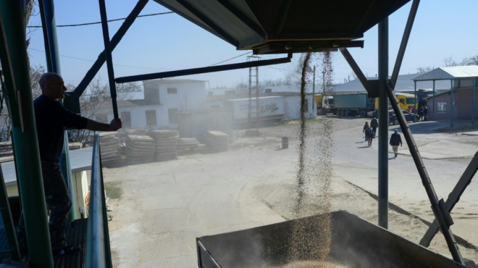 Des grandes puissances agricoles promettent la s&eacute;curit&eacute; alimentaire malgr&eacute; la guerre en Ukraine