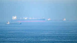 Ormuz: le trafic continue, malgr&eacute; l'annonce iranienne d'une refermeture du d&eacute;troit