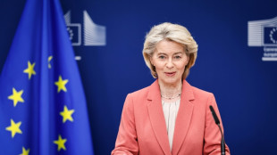 La Uni&oacute;n Europea aplicar&aacute; provisionalmente el acuerdo con el Mercosur