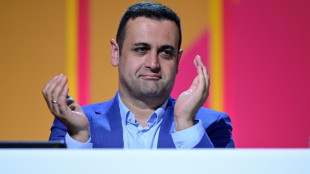 Djir-Sarai fordert Gr&uuml;ne zu Kl&auml;rung interner Differenzen bei Migration auf