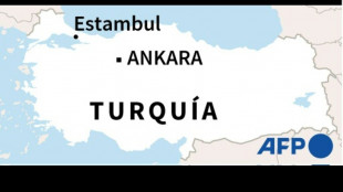 Turqu&iacute;a enfrenta importantes incendios forestales cerca de las playas del sur del pa&iacute;s
