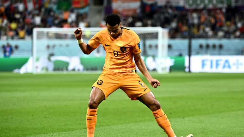 Gakpo stars for Netherlands at World Cup as transfer suitors circle