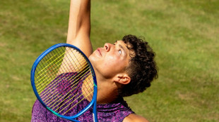 Shelton gewinnt Rasenturnier in Stuttgart