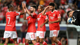 Aus f&uuml;r Kiew - Schmidt mit Benfica in der Gruppenphase