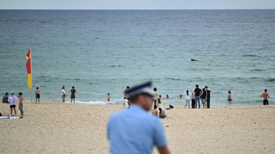 Bondi victims' families demand national probe into antisemitism