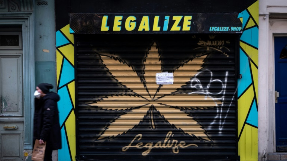 "Un marché assez chaotique": les boutiques de CBD dans le brouillard