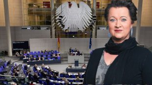 Birgit Bessin - candidata direta ao Bundestag alemão em 23 de fevereiro de 2025