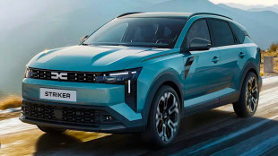 Dacia Striker: Bella e robusta?