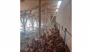 Innovatives Frequenzsystem im Kampf gegen Vogelgrippe